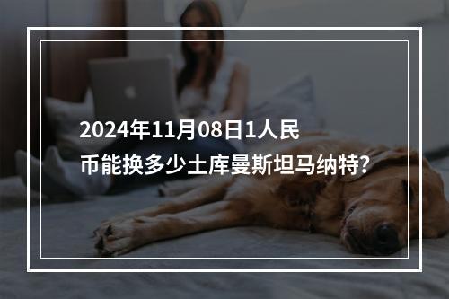 2024年11月08日1人民币能换多少土库曼斯坦马纳特？