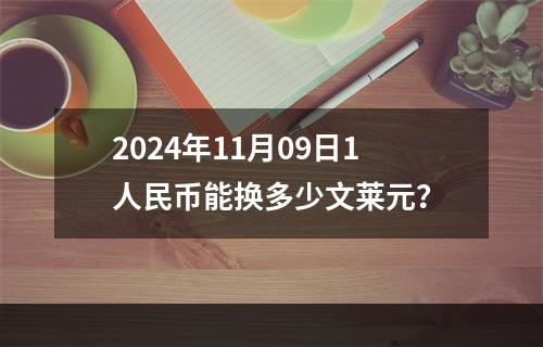 2024年11月09日1人民币能换多少文莱元？