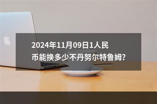 2024年11月09日1人民币能换多少不丹努尔特鲁姆？