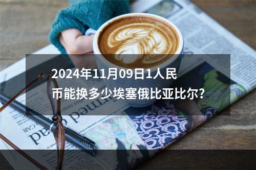 2024年11月09日1人民币能换多少埃塞俄比亚比尔？