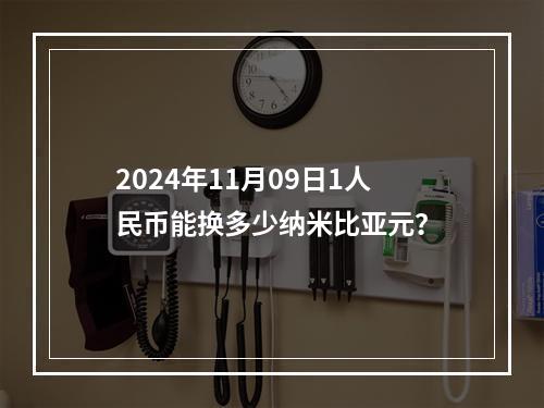 2024年11月09日1人民币能换多少纳米比亚元？