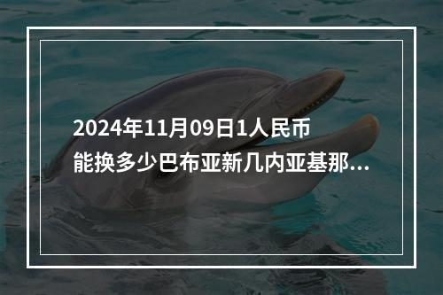 2024年11月09日1人民币能换多少巴布亚新几内亚基那？