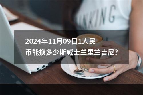 2024年11月09日1人民币能换多少斯威士兰里兰吉尼？