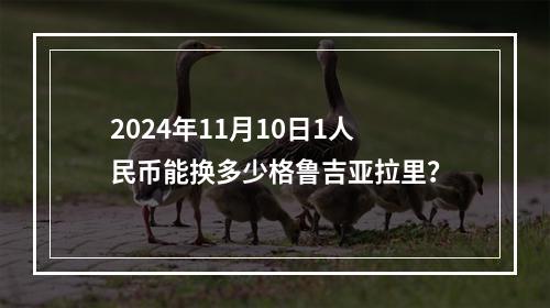 2024年11月10日1人民币能换多少格鲁吉亚拉里？