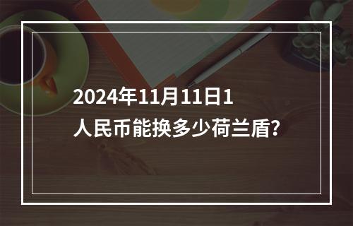 2024年11月11日1人民币能换多少荷兰盾？