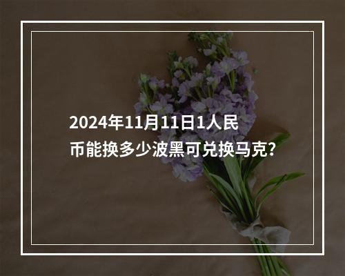 2024年11月11日1人民币能换多少波黑可兑换马克？