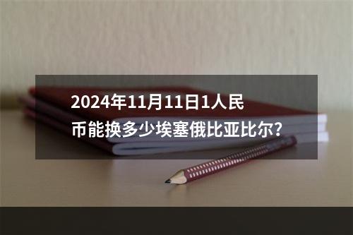 2024年11月11日1人民币能换多少埃塞俄比亚比尔？