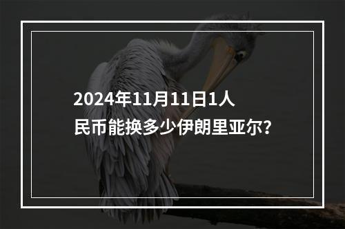 2024年11月11日1人民币能换多少伊朗里亚尔？