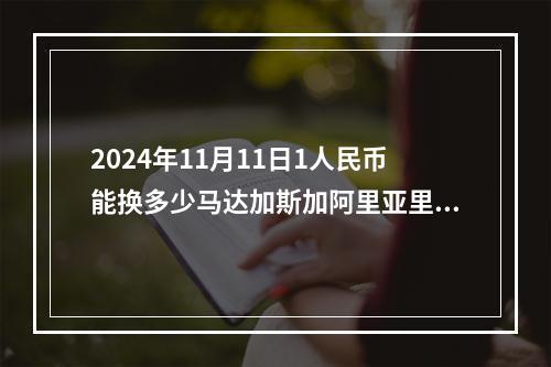 2024年11月11日1人民币能换多少马达加斯加阿里亚里？