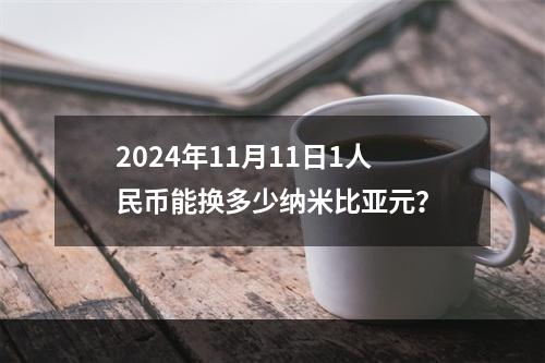 2024年11月11日1人民币能换多少纳米比亚元？