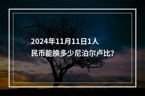 2024年11月11日1人民币能换多少尼泊尔卢比？