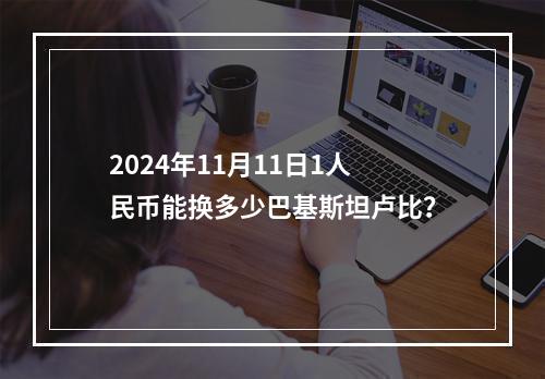 2024年11月11日1人民币能换多少巴基斯坦卢比？