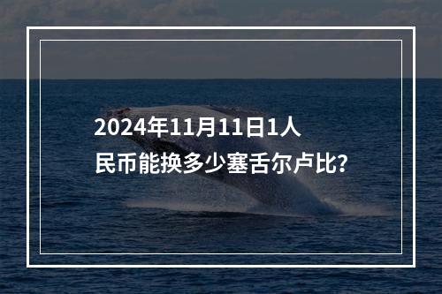 2024年11月11日1人民币能换多少塞舌尔卢比？