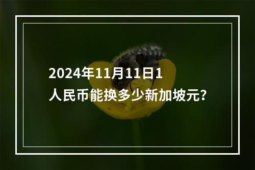 2024年11月11日1人民币能换多少新加坡元？