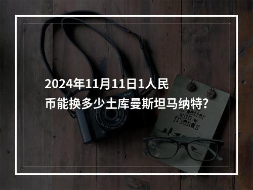 2024年11月11日1人民币能换多少土库曼斯坦马纳特？