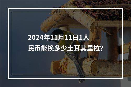 2024年11月11日1人民币能换多少土耳其里拉？