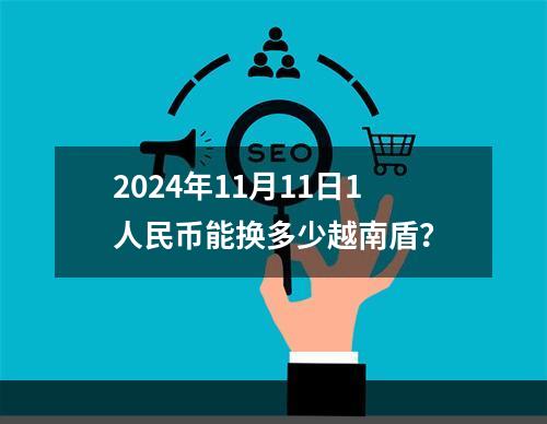 2024年11月11日1人民币能换多少越南盾？