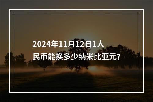 2024年11月12日1人民币能换多少纳米比亚元？