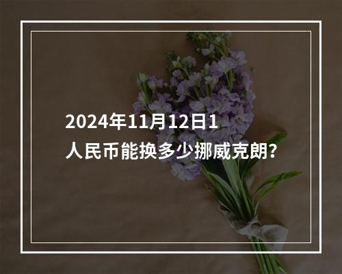 2024年11月12日1人民币能换多少挪威克朗？