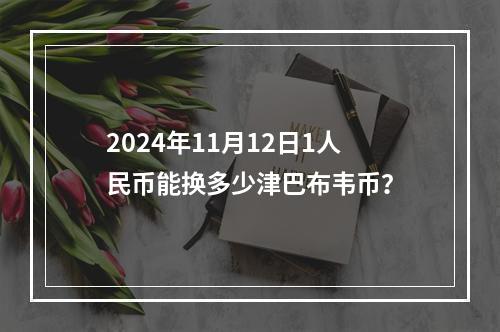 2024年11月12日1人民币能换多少津巴布韦币？