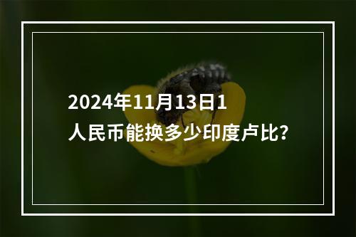 2024年11月13日1人民币能换多少印度卢比？