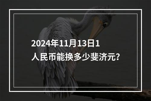 2024年11月13日1人民币能换多少斐济元？