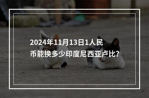 2024年11月13日1人民币能换多少印度尼西亚卢比？