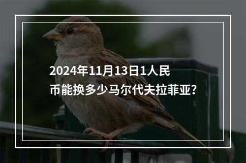 2024年11月13日1人民币能换多少马尔代夫拉菲亚？