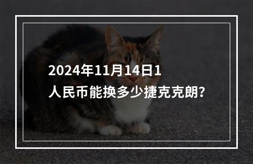 2024年11月14日1人民币能换多少捷克克朗？