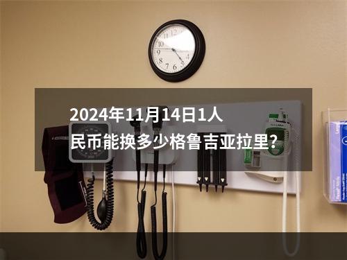 2024年11月14日1人民币能换多少格鲁吉亚拉里？