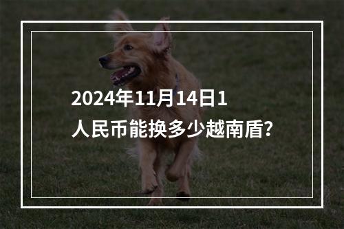 2024年11月14日1人民币能换多少越南盾？