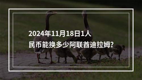 2024年11月18日1人民币能换多少阿联酋迪拉姆？