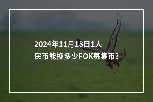 2024年11月18日1人民币能换多少FOK募集币？