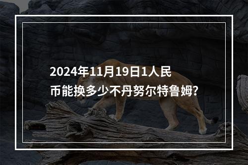 2024年11月19日1人民币能换多少不丹努尔特鲁姆？