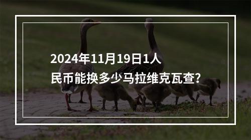 2024年11月19日1人民币能换多少马拉维克瓦查？