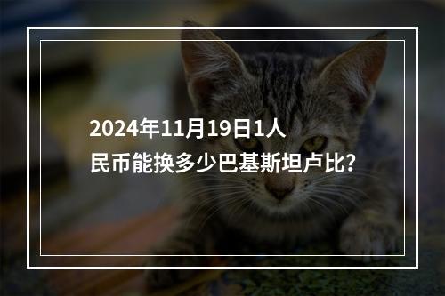 2024年11月19日1人民币能换多少巴基斯坦卢比？