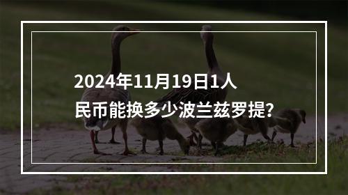 2024年11月19日1人民币能换多少波兰兹罗提？