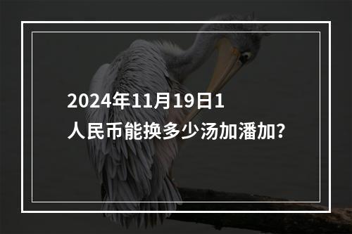 2024年11月19日1人民币能换多少汤加潘加？