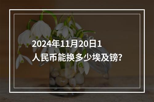 2024年11月20日1人民币能换多少埃及镑？