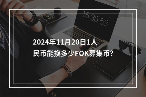 2024年11月20日1人民币能换多少FOK募集币？