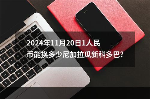 2024年11月20日1人民币能换多少尼加拉瓜新科多巴？