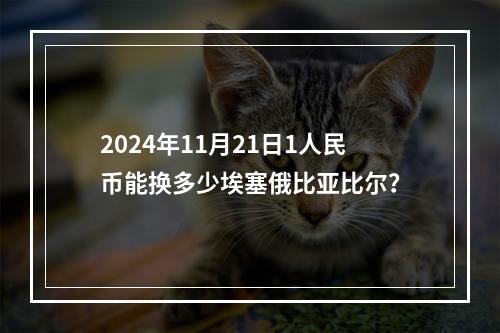 2024年11月21日1人民币能换多少埃塞俄比亚比尔？