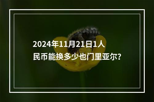 2024年11月21日1人民币能换多少也门里亚尔？