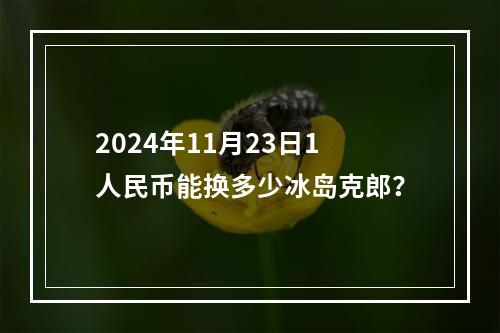 2024年11月23日1人民币能换多少冰岛克郎？