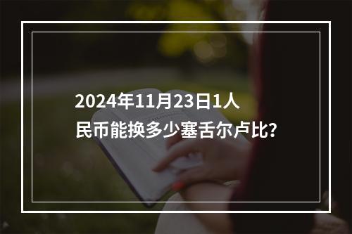 2024年11月23日1人民币能换多少塞舌尔卢比？