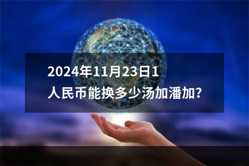 2024年11月23日1人民币能换多少汤加潘加？