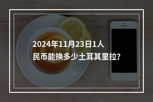 2024年11月23日1人民币能换多少土耳其里拉？