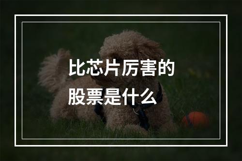 比芯片厉害的股票是什么