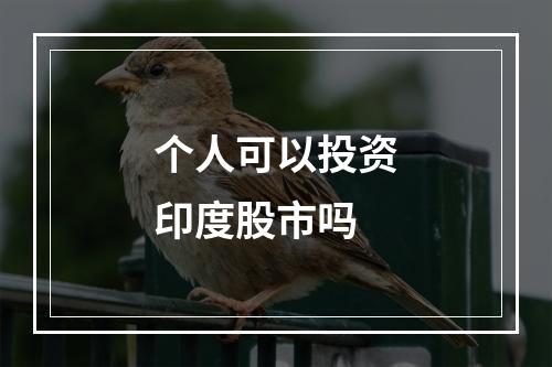 个人可以投资印度股市吗