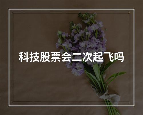 科技股票会二次起飞吗